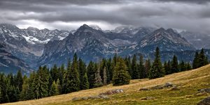 Wspaniała natura – park narodowy w Małopolsce